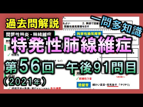 【過去問解説：第56回国家試験-午後91問目】特発性肺線維症【理学療法士・作業療法士】