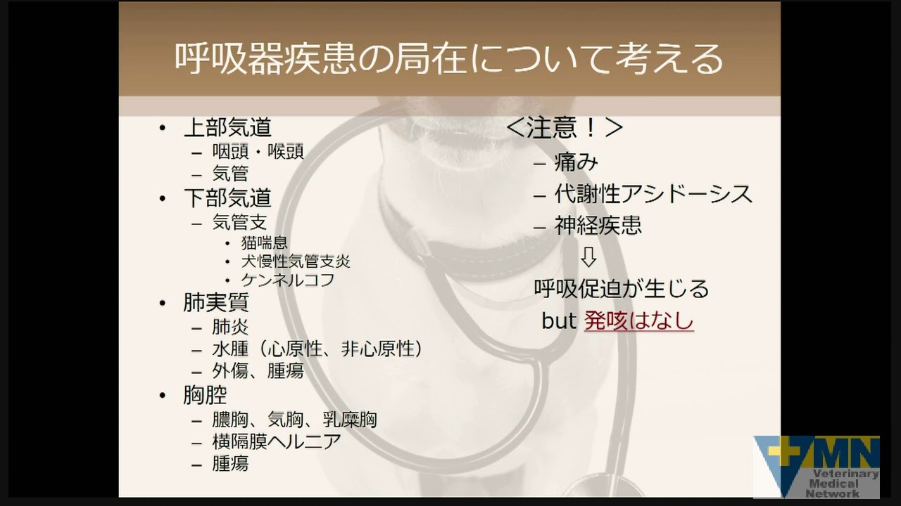 瀬戸口明日香先生の「明日から役立つ」シリーズ「症状や所見から鑑別診断リストを作成する」第10回　トピック14 ： 発咳へのアプローチ （後半）