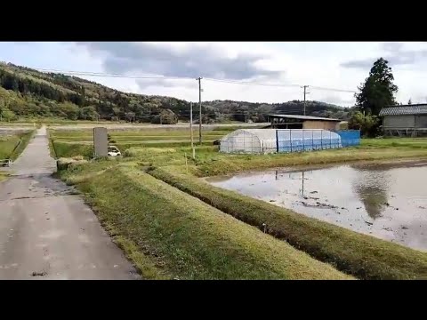 おっさん転職？【癌】【肺がん】【肺がんステージ４】【佐渡】【佐渡島】【佐渡移住】【イタグレ】【ウイペット】