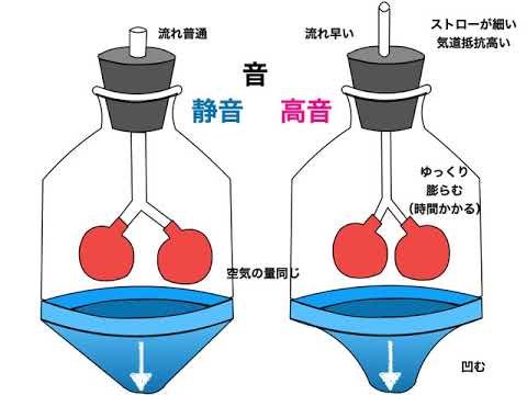 気道抵抗とコンプライアンス