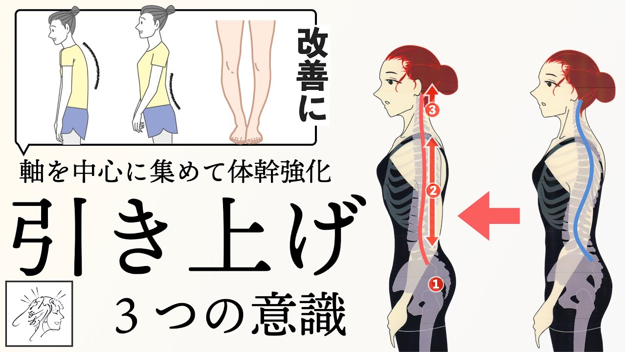 【猫背・反り腰・体幹強化に使える姿勢改善】引き上げしやすくする３つの意識